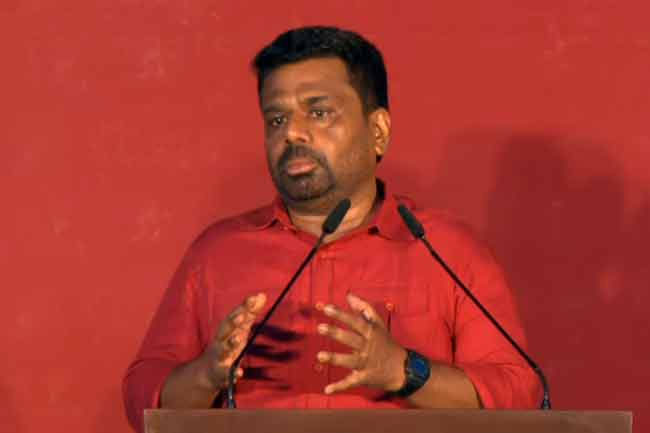 anura 2026