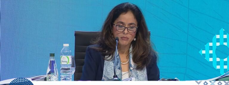 Sonali Jain-Chandra IMF-858917